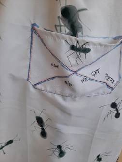 Afbeelding met ongewerveld dier, insect
Door AI gegenereerde inhoud is mogelijk onjuist.