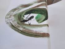 Afbeelding met insect, verven, ongewerveld dier, vaas

Door AI gegenereerde inhoud is mogelijk onjuist.