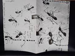 Afbeelding met tekst, insect, tekening, inkt

Door AI gegenereerde inhoud is mogelijk onjuist.