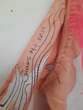 Afbeelding met tatoeage, handschrift, inkt

Door AI gegenereerde inhoud is mogelijk onjuist.