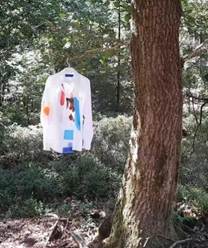 Afbeelding met boom, buitenshuis, plant, kofferbak

Door AI gegenereerde inhoud is mogelijk onjuist.