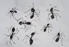 Afbeelding met ongewerveld dier, mier, insect, ongedierte

Door AI gegenereerde inhoud is mogelijk onjuist.