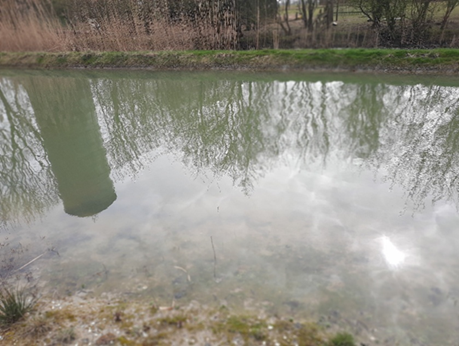 Afbeelding met buitenshuis, gras, boom, plant
Door AI gegenereerde inhoud is mogelijk onjuist.