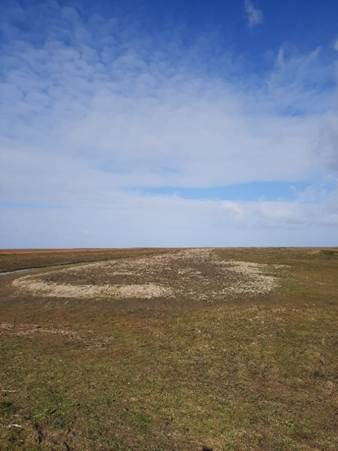 Afbeelding met gras, buitenshuis, wolk, hemel

Door AI gegenereerde inhoud is mogelijk onjuist.
