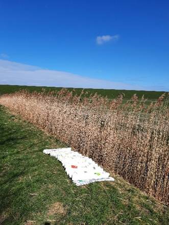 Afbeelding met buitenshuis, wolk, hemel, plant
Door AI gegenereerde inhoud is mogelijk onjuist.