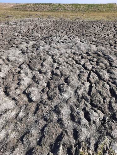 Afbeelding met buitenshuis, grond, hemel, veld

Door AI gegenereerde inhoud is mogelijk onjuist.